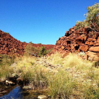 Future of globally significant rock art still up in air as Senate inquiry hands down findings