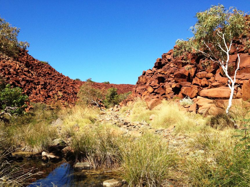 Future of globally significant rock art still up in air as Senate inquiry hands down findings