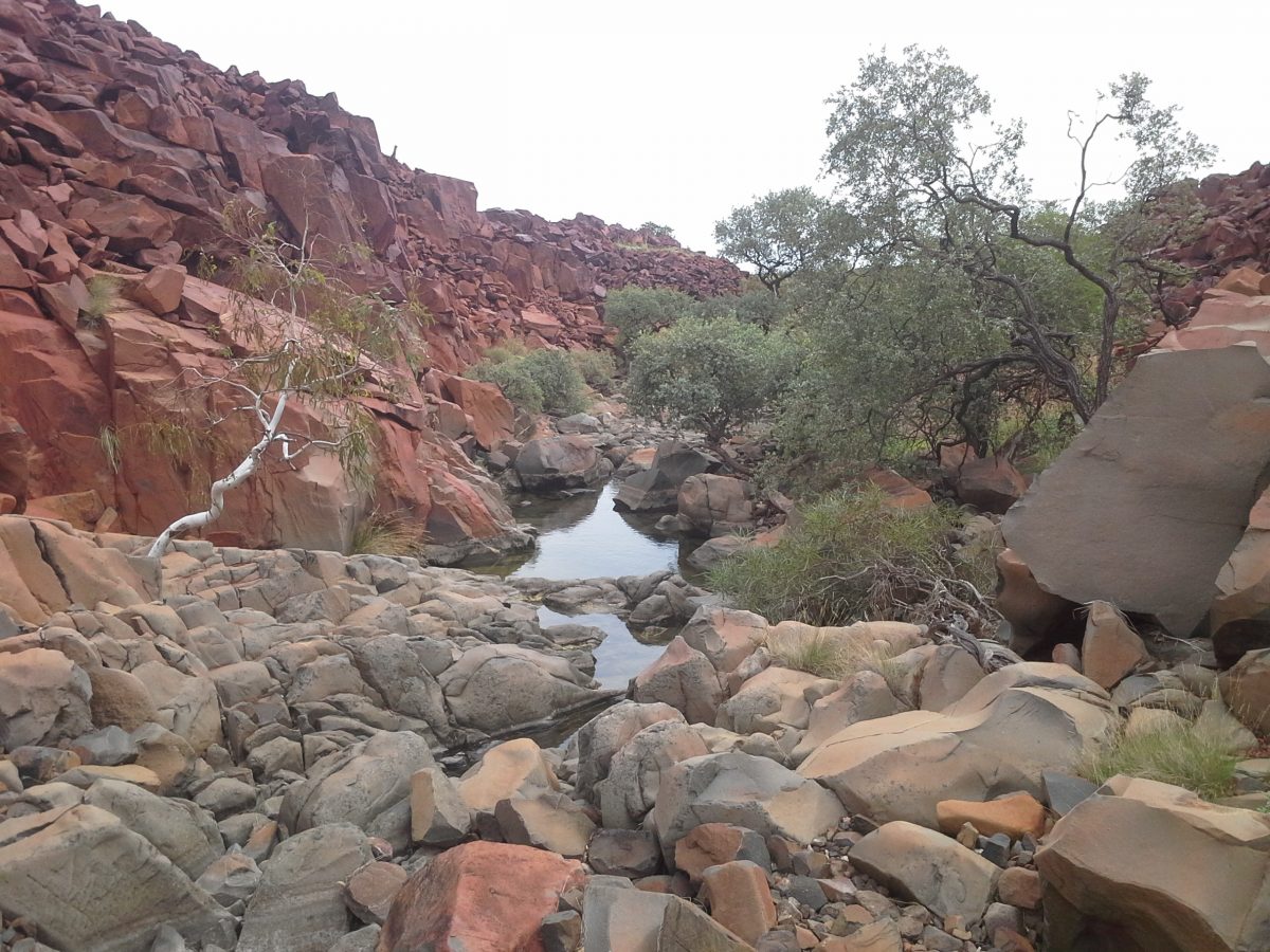 World Heritage listing of Burrup Peninsula rock art edges closer