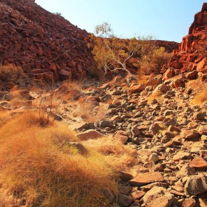 Why the rock art of Murujuga deserves World Heritage status