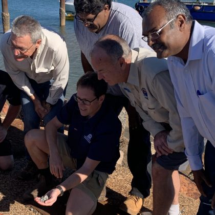 Hatchery-bred oysters transferred to Pilbara trial sites