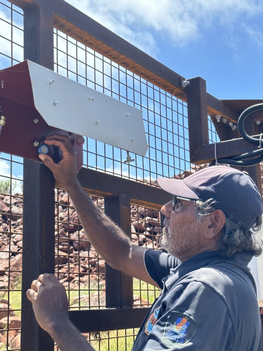 Update from the Murujuga Rock Art Monitoring Program